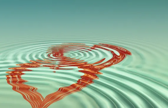 BoVegas Casino Tacaíocht